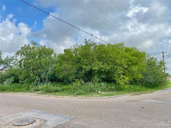 0.3 Acres of Residential Land for Sale in Progreso, Texas