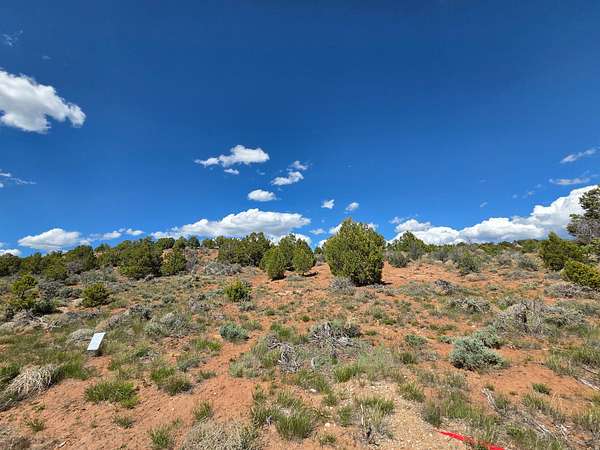 10.6 Acres of Land for Sale in Fruitland, Utah