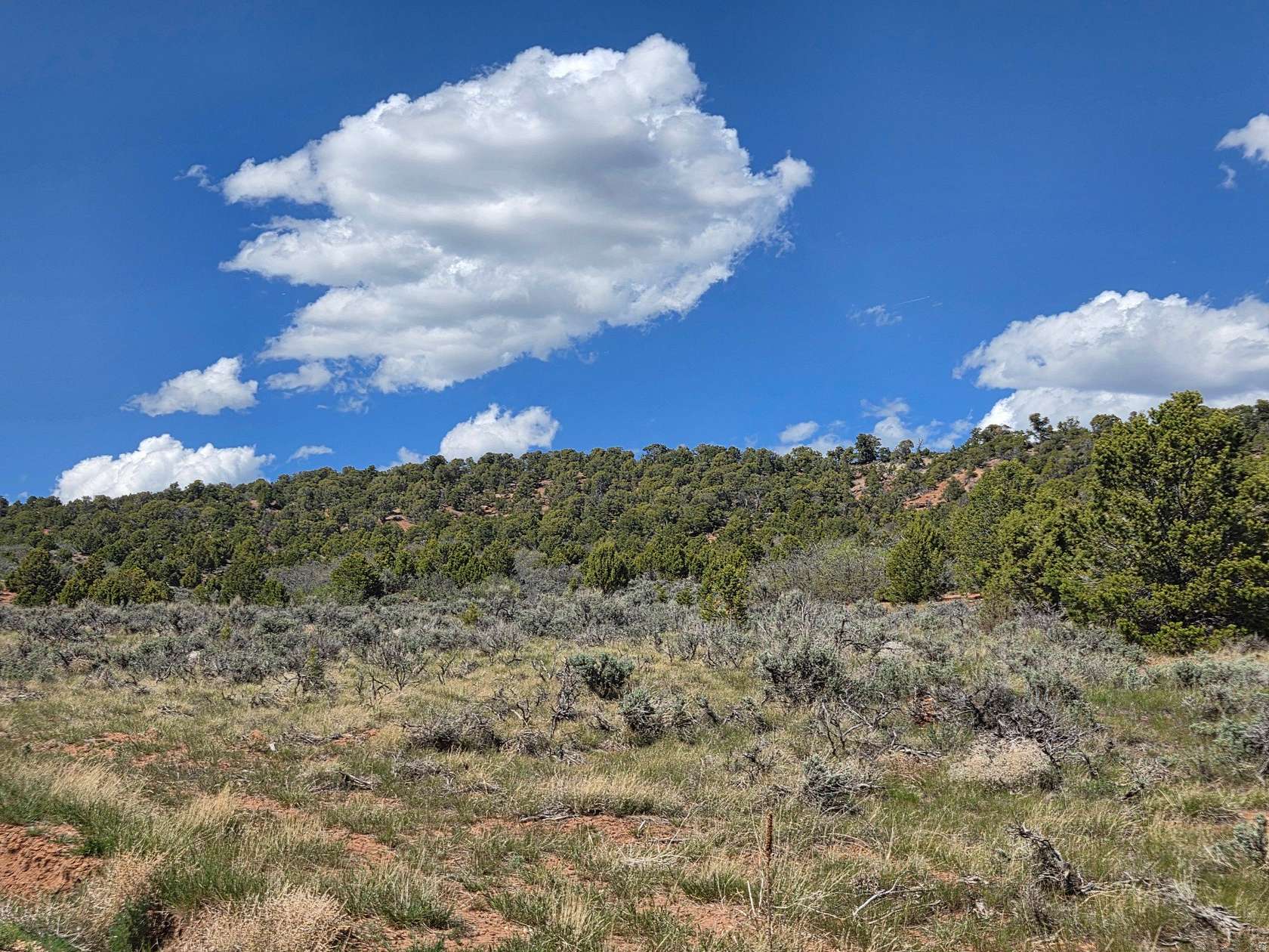 15.2 Acres of Land for Sale in Fruitland, Utah