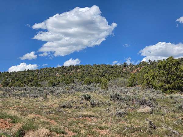 15.2 Acres of Land for Sale in Fruitland, Utah