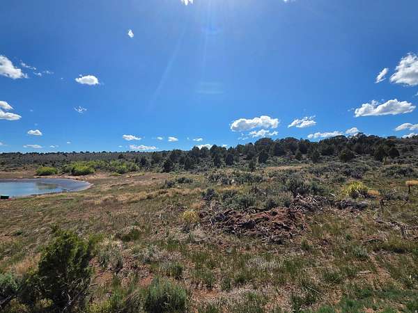 12.4 Acres of Land for Sale in Fruitland, Utah