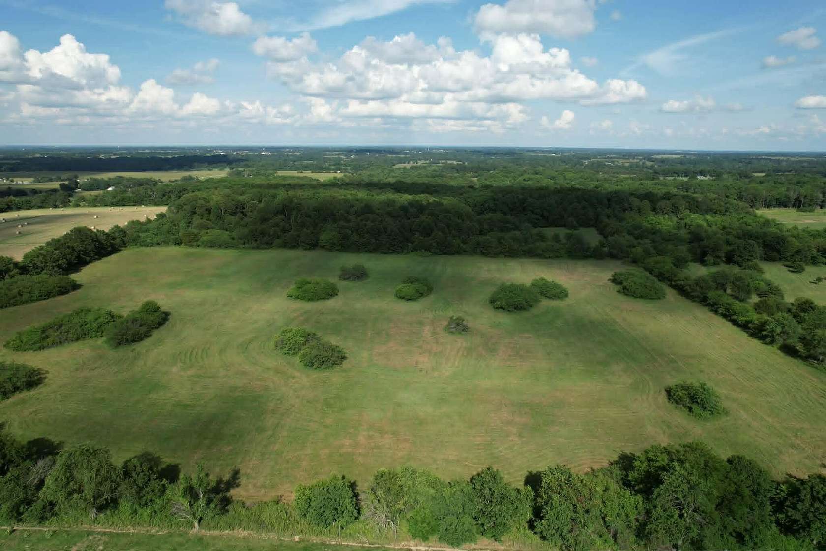 50.2 Acres of Recreational & Residential Land for Sale in Billings, Missouri