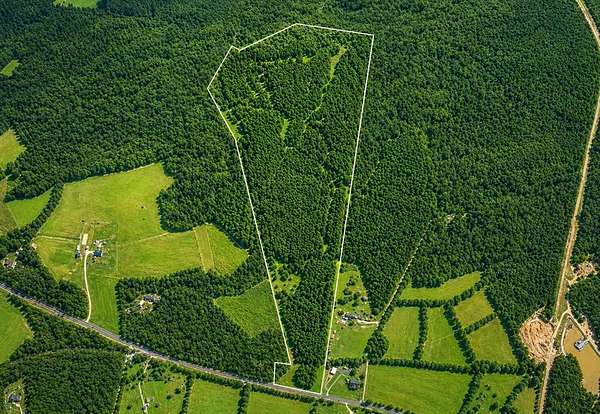 84.5 Acres of Recreational & Residential Land for Sale in Abbeville, South Carolina