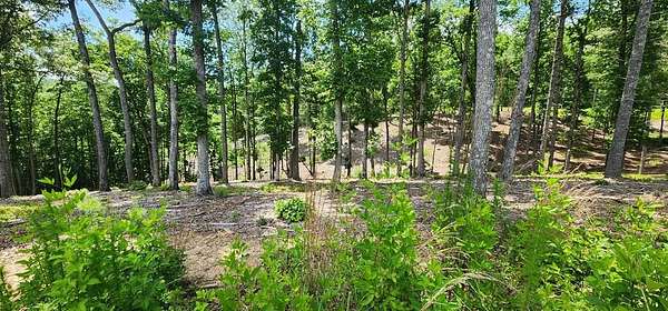 0.97 Acres of Residential Land for Sale in Morganton, Georgia