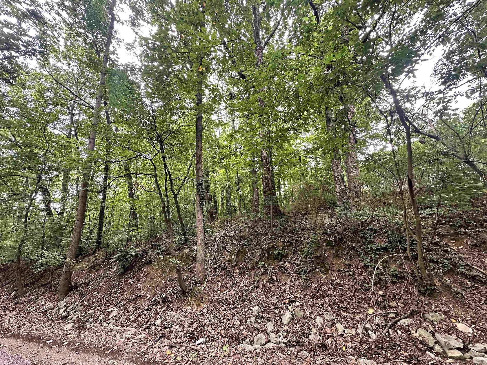 0.41 Acres of Residential Land for Sale in Cullman, Alabama