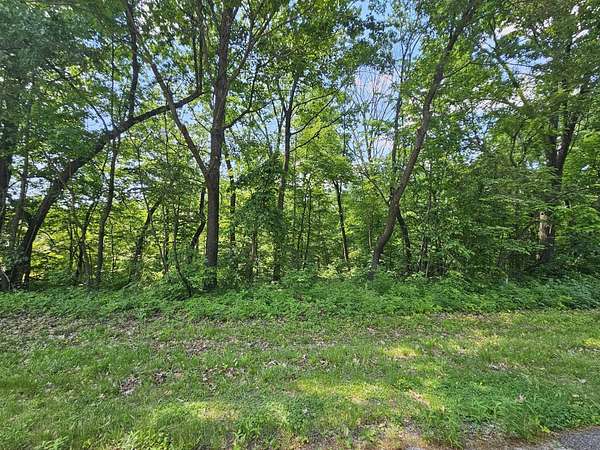1.19 Acres of Residential Land for Sale in Galena, Illinois