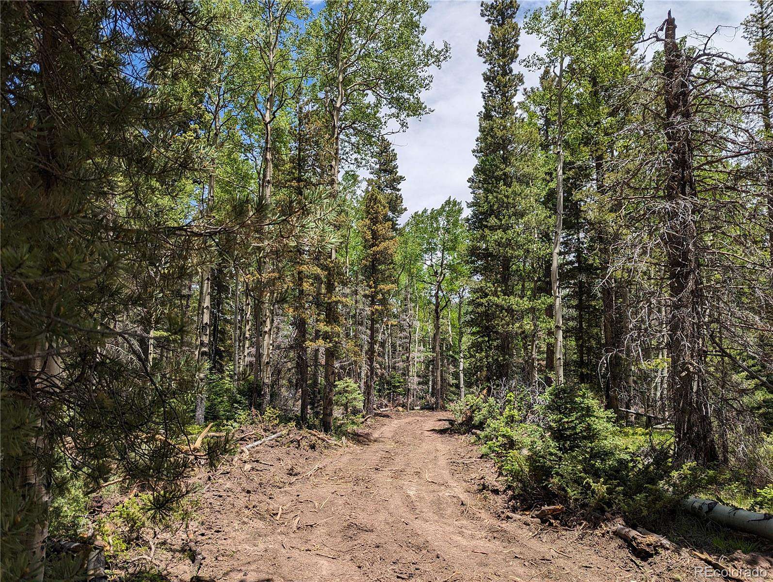 1.44 Acres of Residential Land for Sale in Fort Garland, Colorado