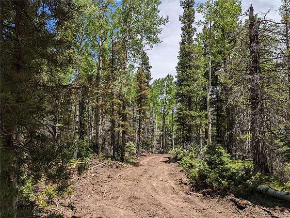 1.44 Acres of Residential Land for Sale in Fort Garland, Colorado