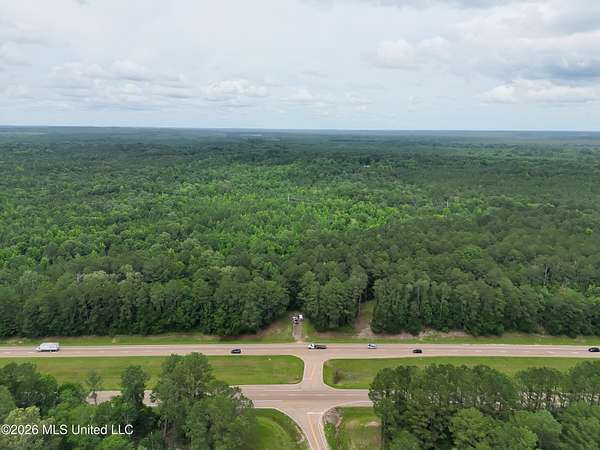 15.1 Acres of Mixed-Use Land for Sale in Braxton, Mississippi