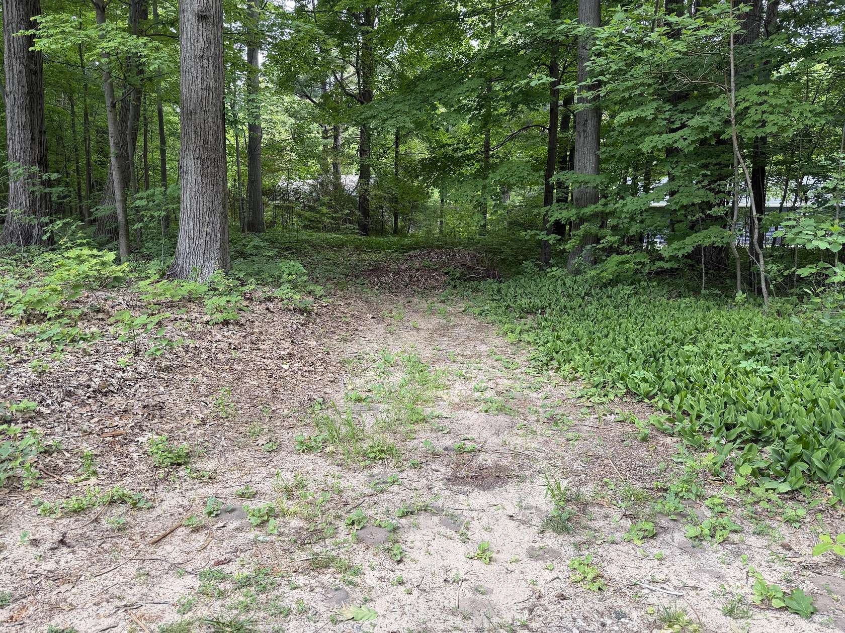 0.18 Acres of Residential Land for Sale in South Haven, Michigan