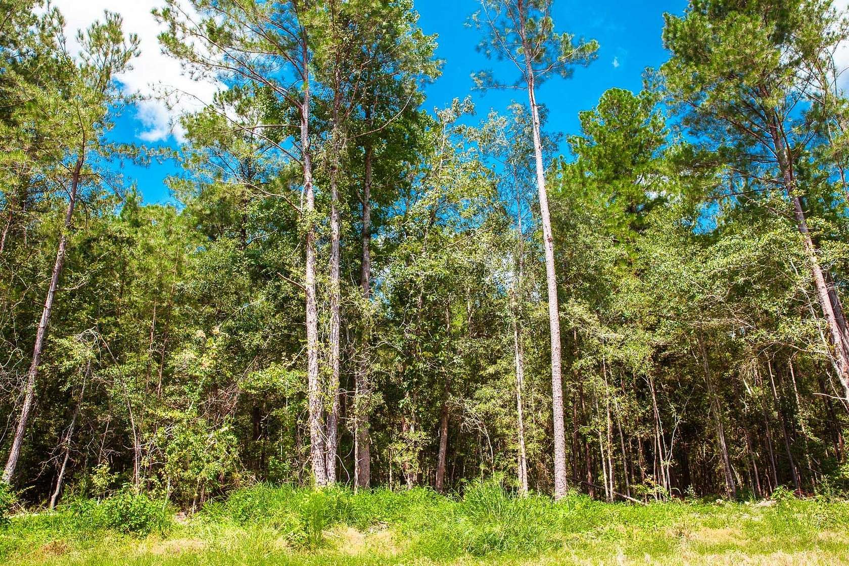 1 Acre of Residential Land for Sale in Clarks Hill, South Carolina