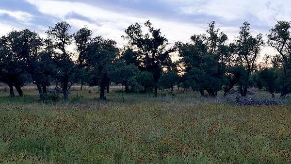 20.4 Acres of Land for Sale in Willow City, Texas