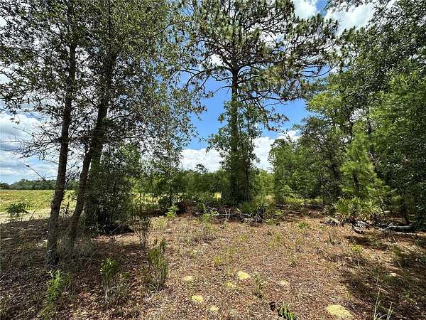 0.66 Acres of Residential Land for Sale in Bronson, Florida