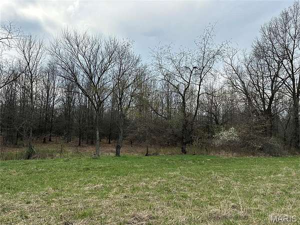 20 Acres of Agricultural Land for Sale in Monroe City, Missouri