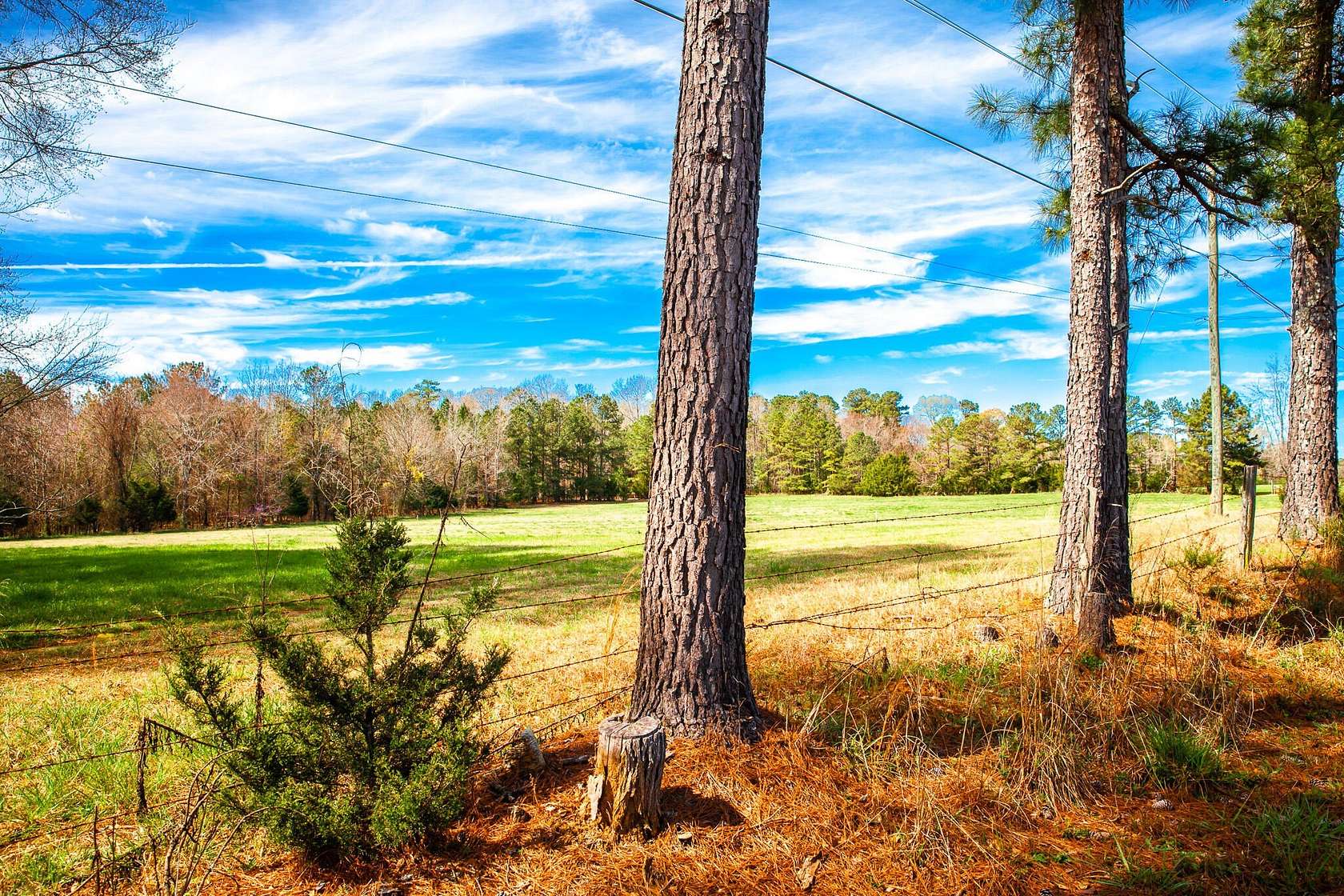 18 Acres of Land for Sale in Appling, Georgia