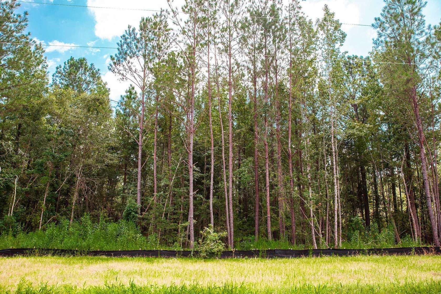 1.2 Acres of Residential Land for Sale in Clarks Hill, South Carolina