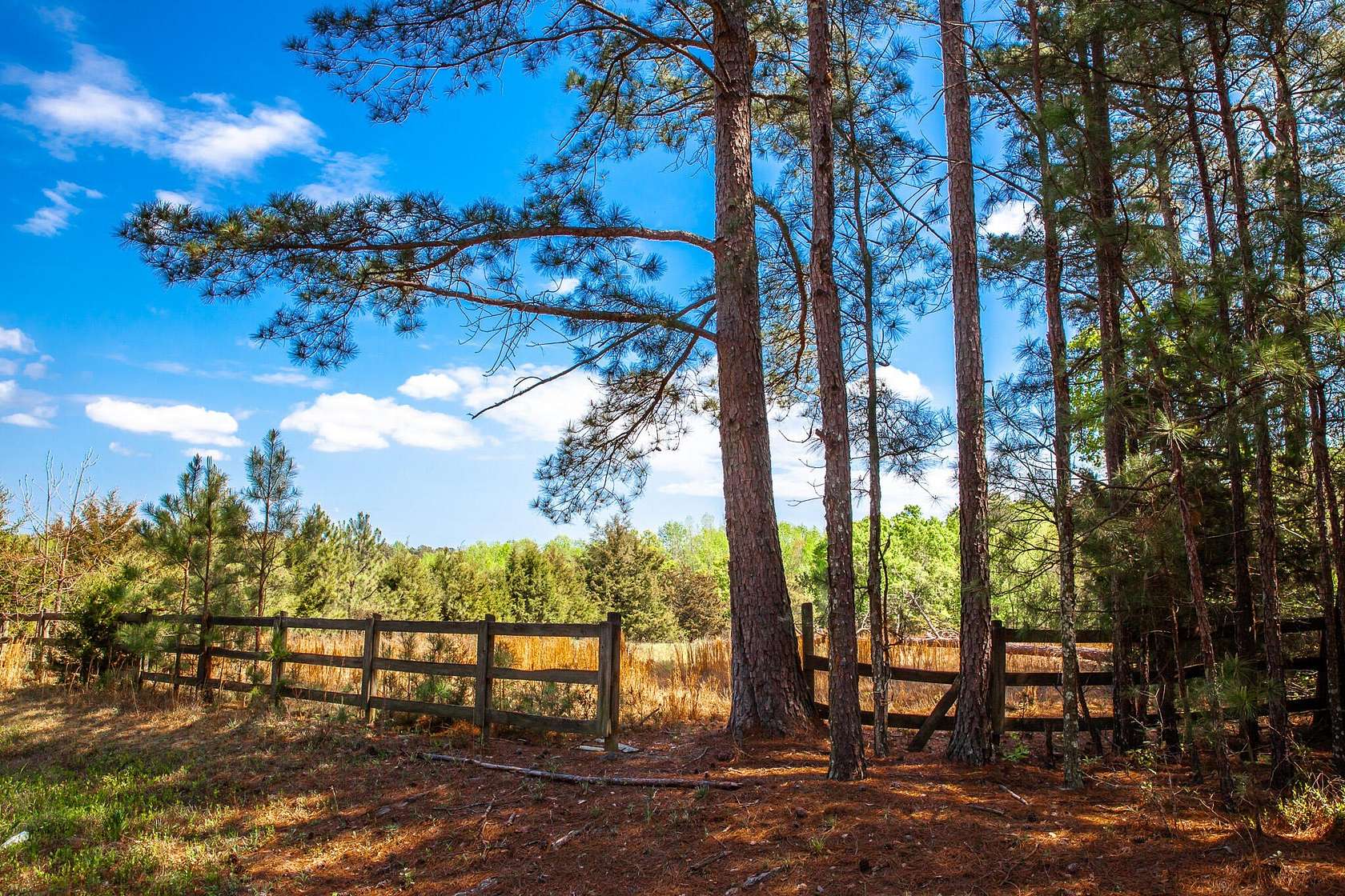 14.3 Acres of Land for Sale in Thomson, Georgia