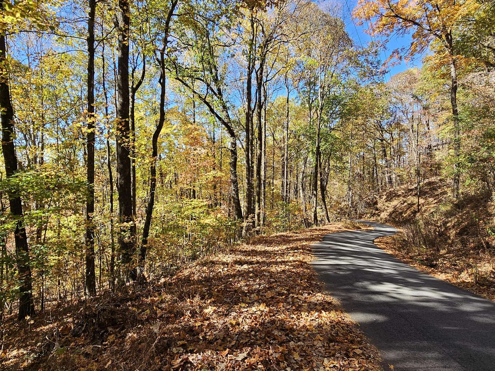 1 Acre of Residential Land for Sale in Clayton, Georgia