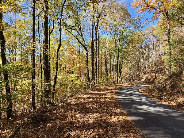 1 Acre of Residential Land for Sale in Clayton, Georgia