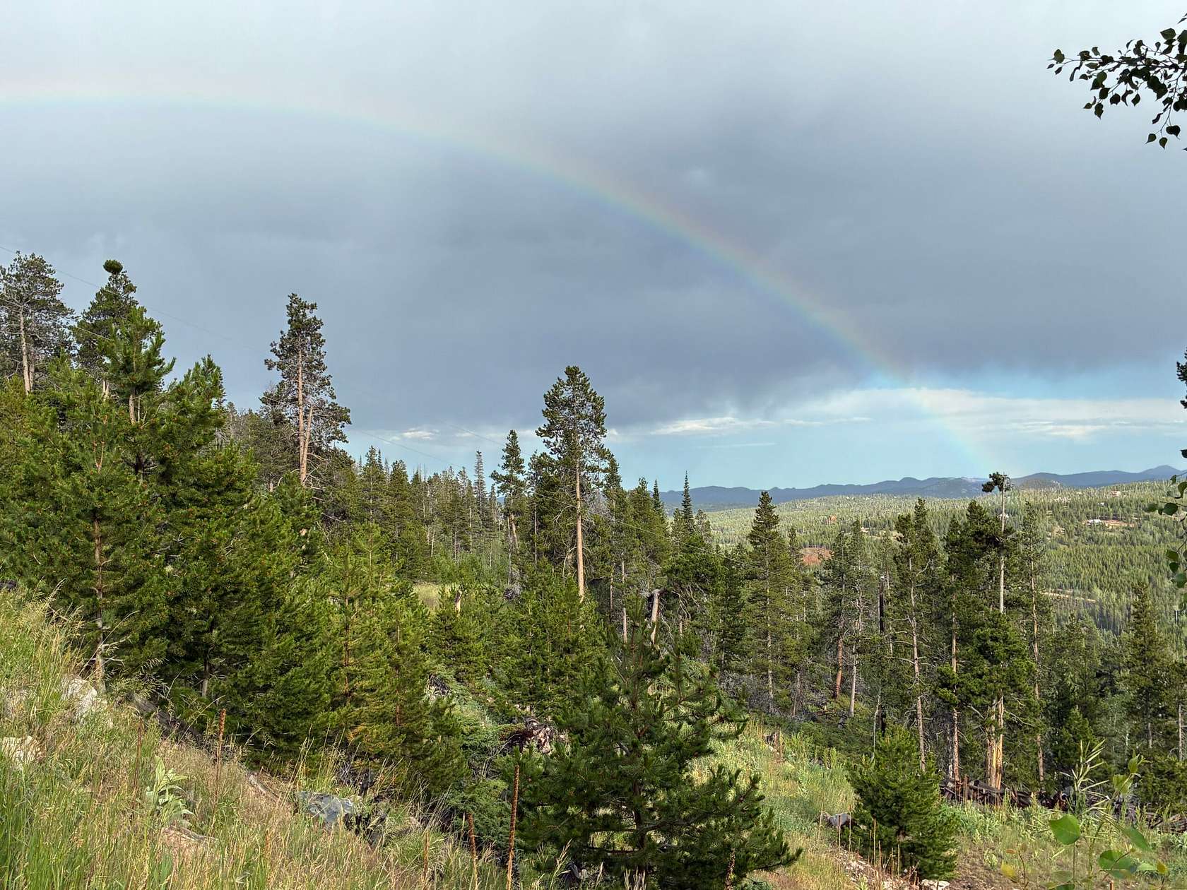 35.3 Acres of Recreational & Residential Land for Sale in Red Feather Lakes, Colorado