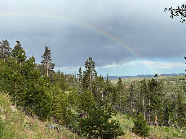 35.3 Acres of Recreational & Residential Land for Sale in Red Feather Lakes, Colorado
