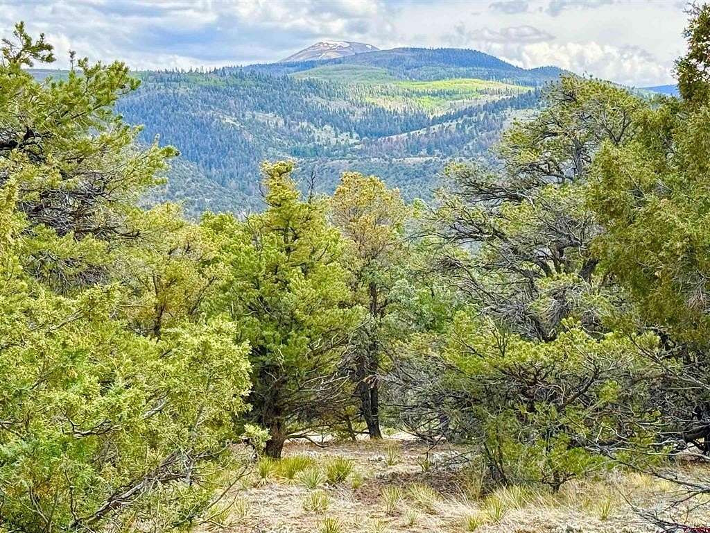 1.1 Acres of Residential Land for Sale in South Fork, Colorado