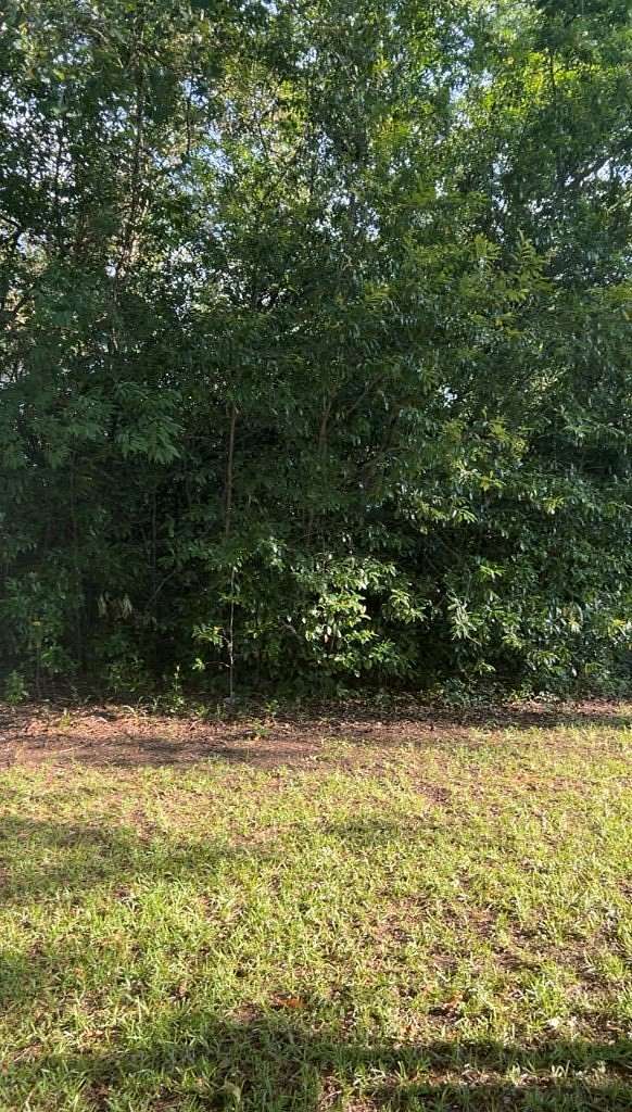 0.5 Acres of Residential Land for Sale in Dothan, Alabama
