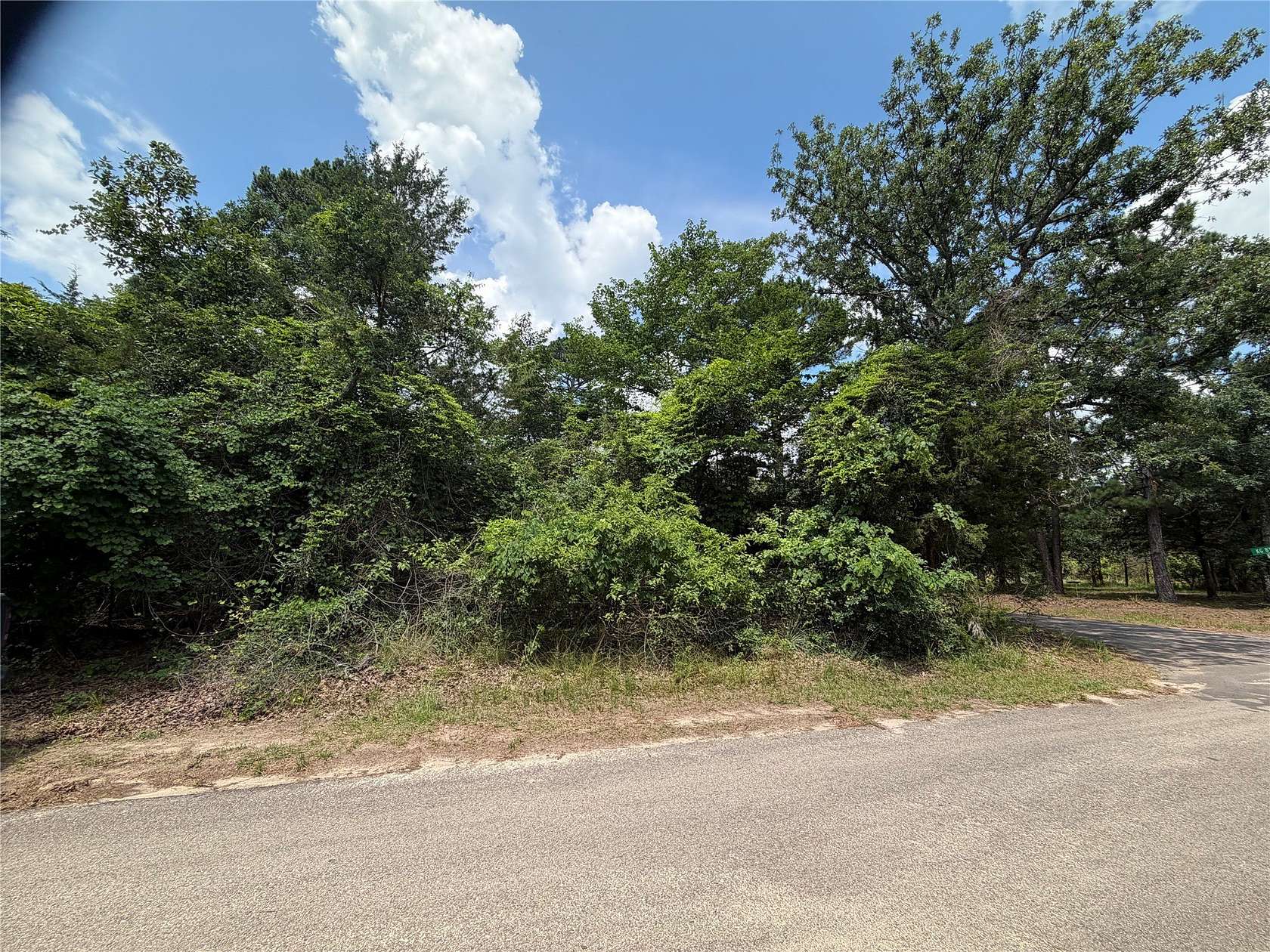 0.36 Acres of Residential Land for Sale in Scroggins, Texas