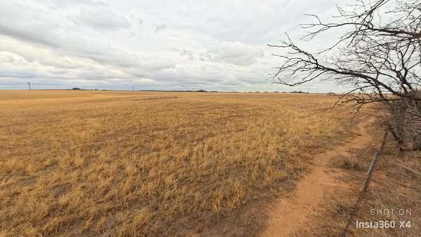 30 Acres of Agricultural Land for Sale in Burkburnett, Texas