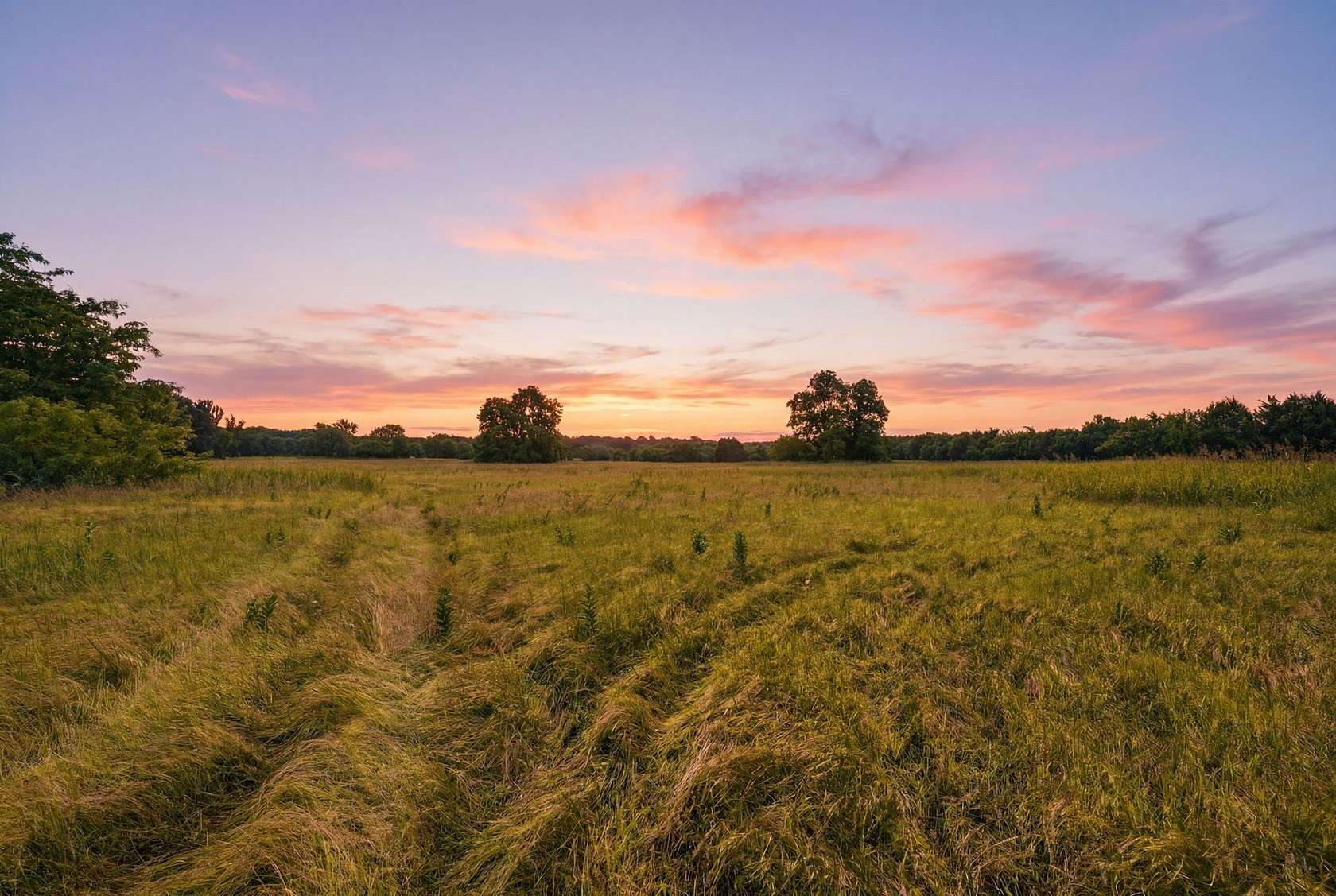 47.9 Acres of Land for Sale in Sherman, Texas