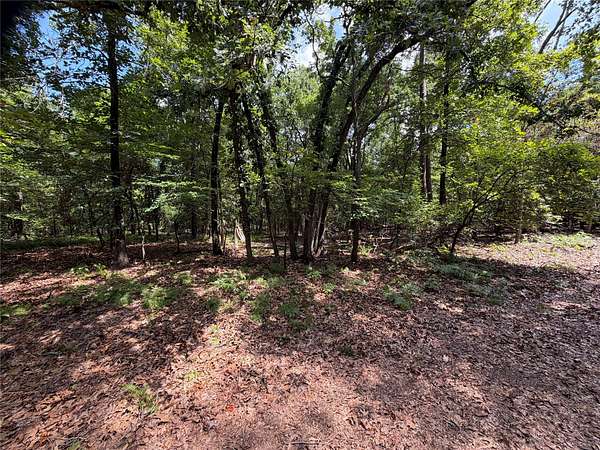 0.43 Acres of Residential Land for Sale in Scroggins, Texas