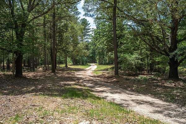146 Acres of Recreational Land for Sale in Ben Wheeler, Texas