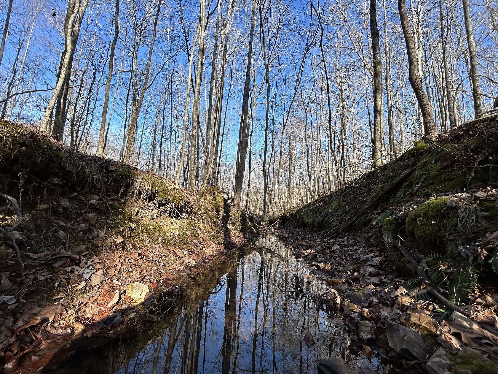 769 Acres of Land for Sale in Holladay, Tennessee