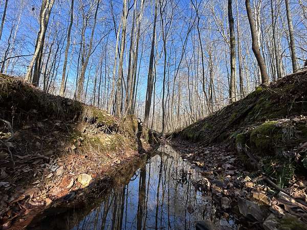 769 Acres of Land for Sale in Holladay, Tennessee