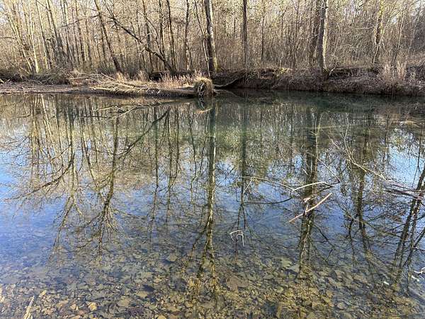 474 Acres of Land for Sale in Holladay, Tennessee