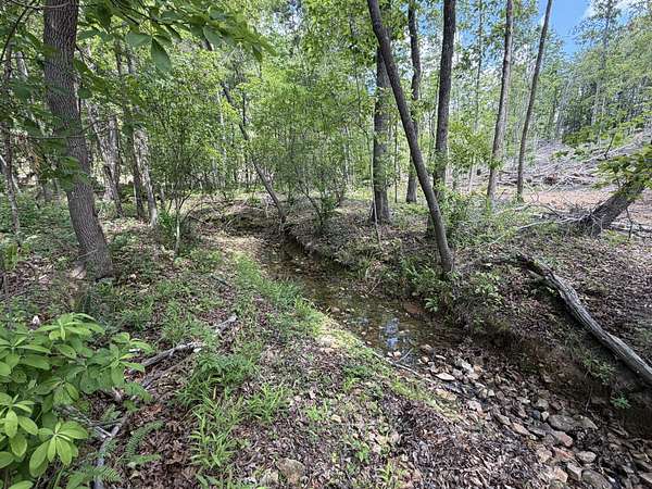 50 Acres of Land for Sale in Holladay, Tennessee