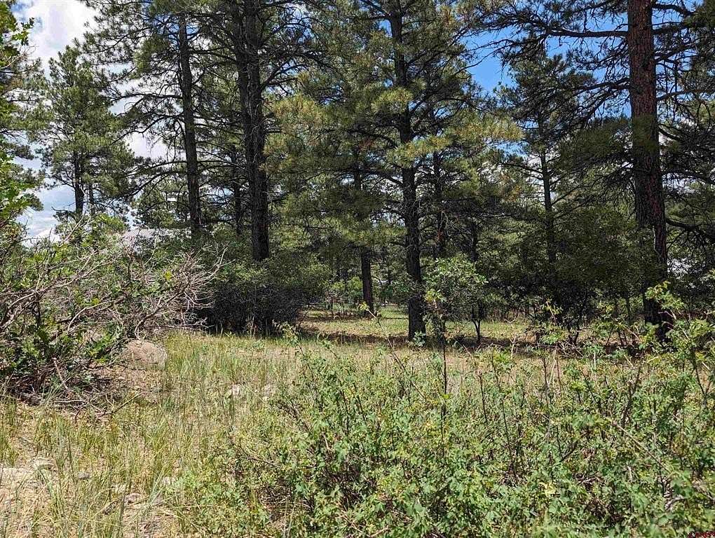 0.55 Acres of Land for Sale in Pagosa Springs, Colorado