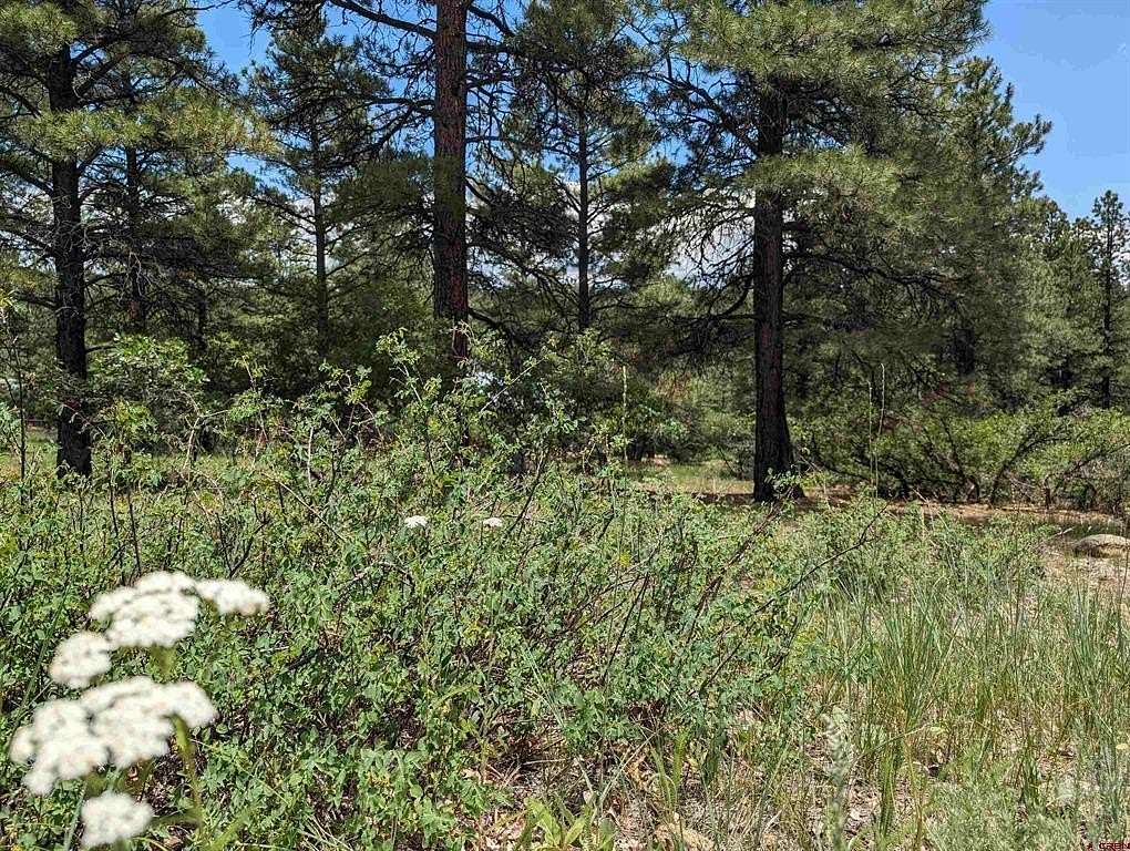 0.55 Acres of Residential Land for Sale in Pagosa Springs, Colorado