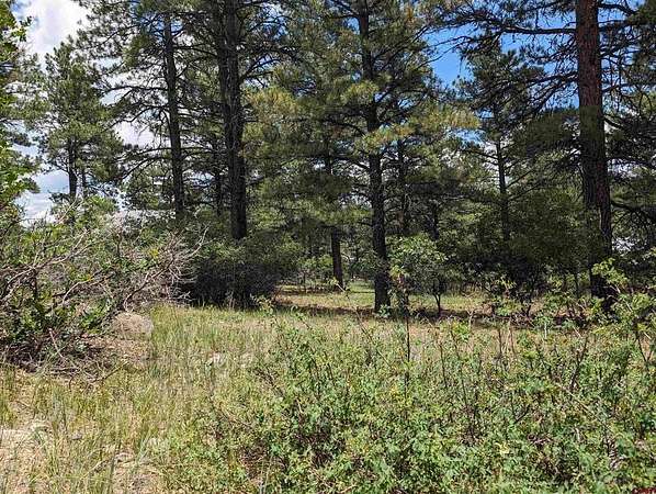 0.55 Acres of Land for Sale in Pagosa Springs, Colorado