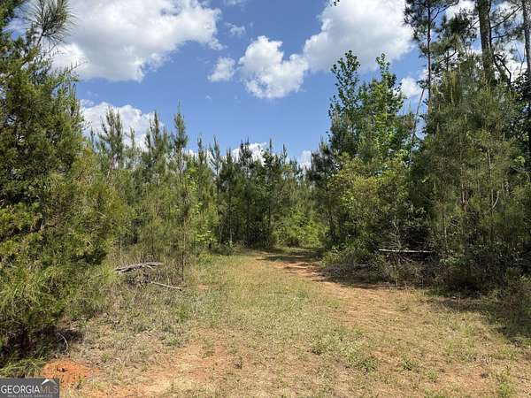 12 Acres of Recreational & Residential Land for Sale in Cuthbert, Georgia