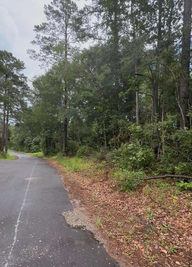 13.8 Acres of Land for Sale in Jasper, Texas