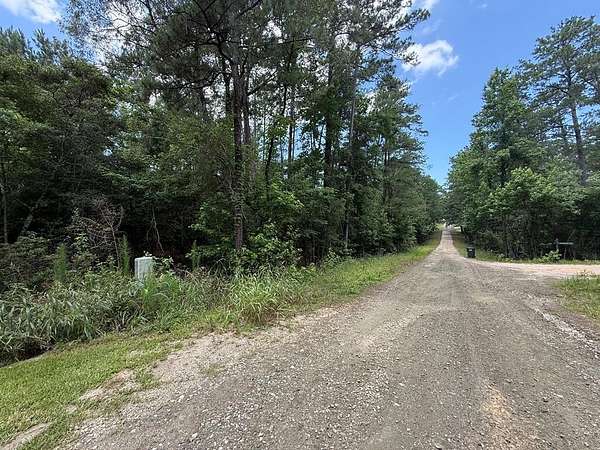 0.23 Acres of Residential Land for Sale in Brookeland, Texas