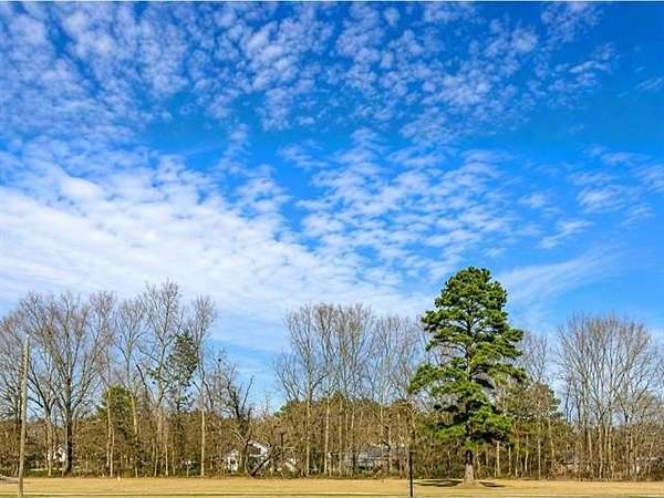 1 Acre of Land for Sale in Saint Amant, Louisiana