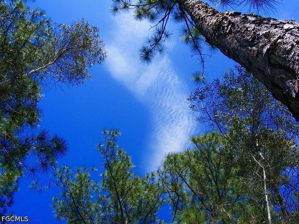 0.24 Acres of Residential Land for Sale in Lehigh Acres, Florida