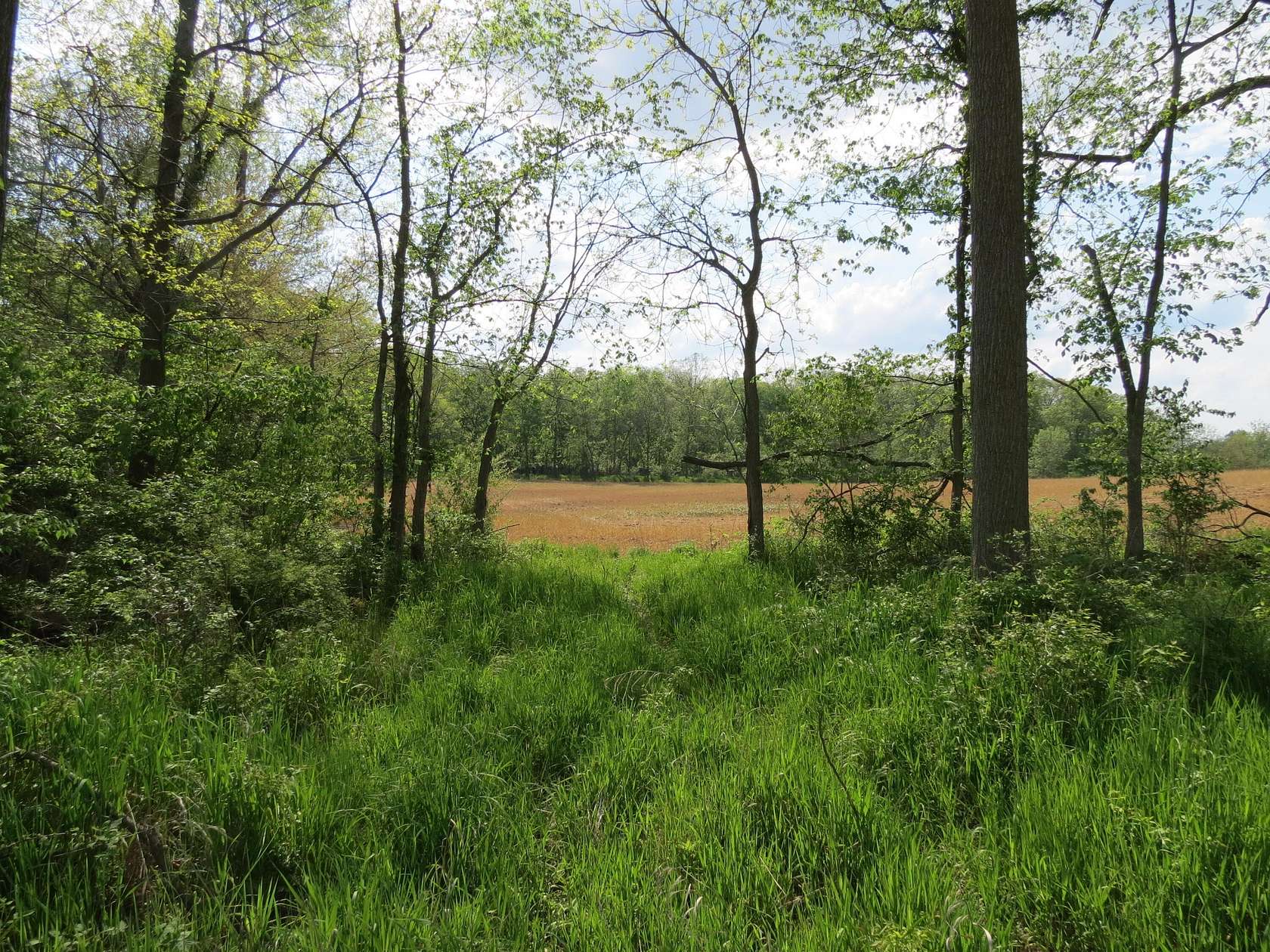 58 Acres of Land for Sale in Jackson, Michigan