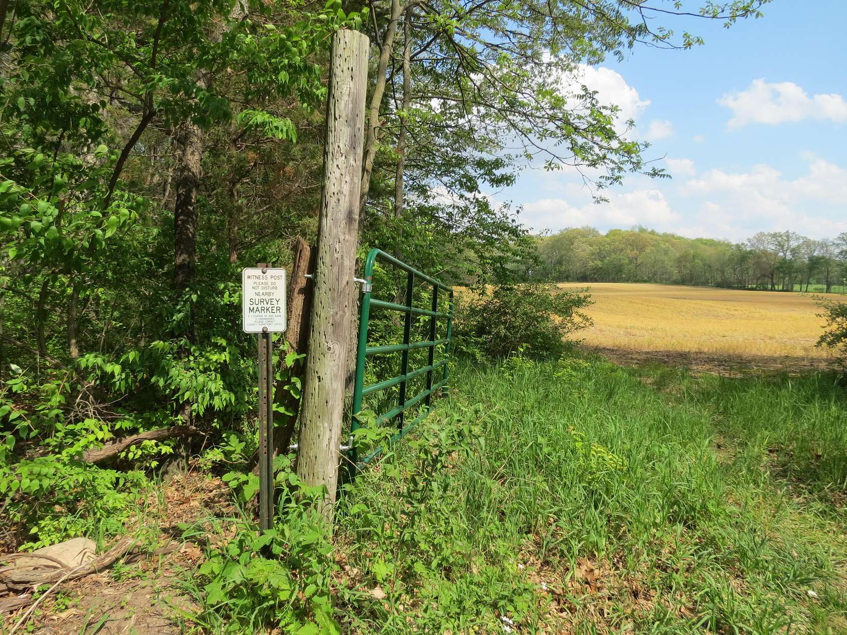 20 Acres of Land for Sale in Brooklyn, Michigan