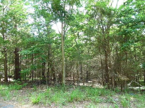0.25 Acres of Residential Land for Sale in Murchison, Texas