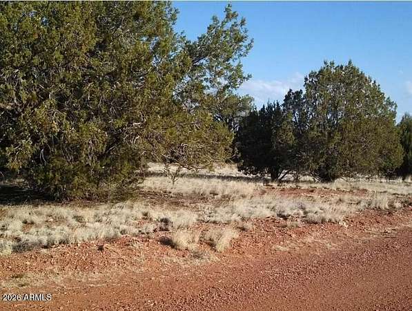 10 Acres of Land for Sale in Seligman, Arizona