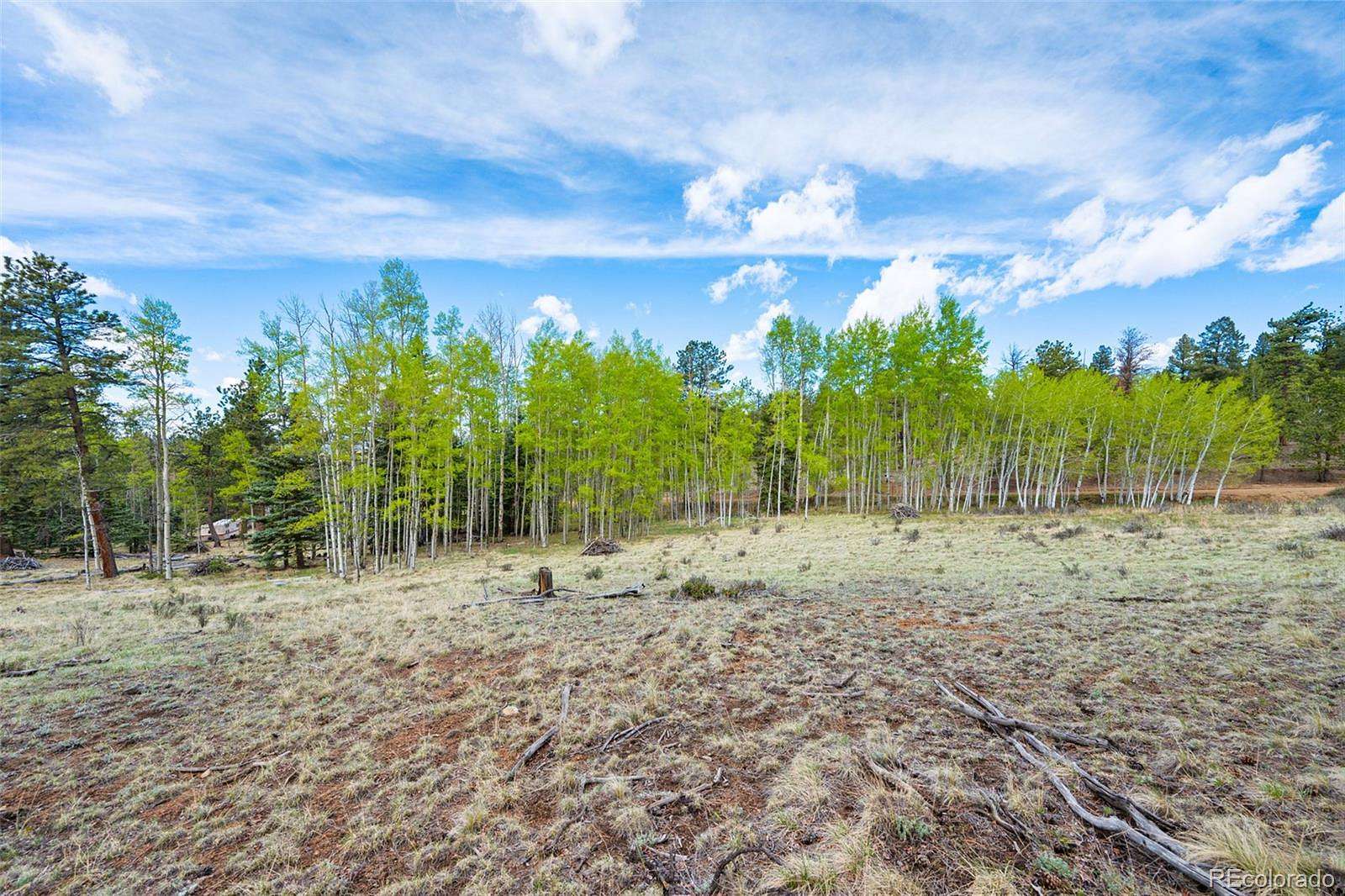 5.12 Acres of Residential Land for Sale in Lake George, Colorado