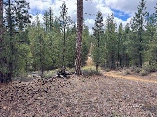 5 Acres of Residential Land for Sale in Crescent, Oregon